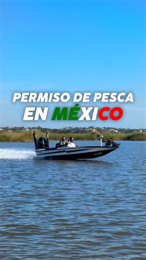 Permiso de Pesca en México (Tutorial) 🎣🇲🇽 | Pesca Demente