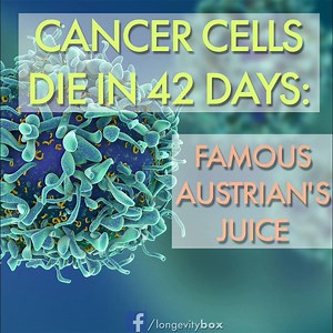 from Doctor Rudolf Breuss: Cancer cells die In 42 days - THIS famous austrian’s juice cured over 45,000 people from cancer and other incurable diseases! | Longevity Box