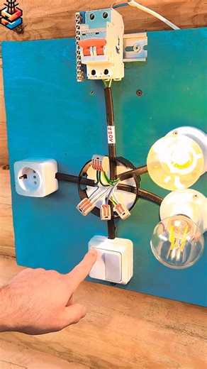 Electrical Basics: How to connect an outlet, a double switch, and two light bulbs! #electrician #diy #tricks #tips #beginner | Zoneleec Tools