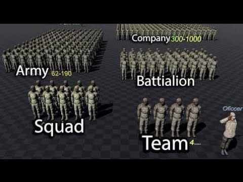 Understand the Powerful Structure of the U.S. Military Forces