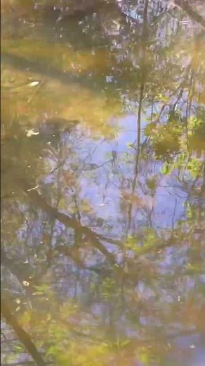 Polarized vs non polarized sunglasses