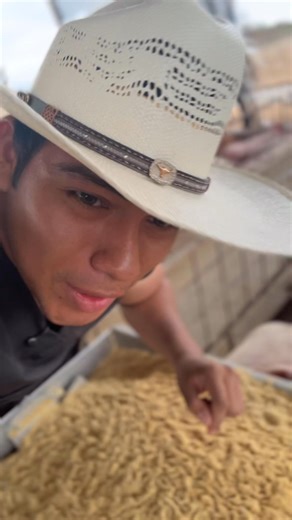 282K views · 7.3K reactions | No uses soja para producir balanceado porque estás dañando la nutrición de granja porque usar soja completa tiene anti nutrientes que van a causarte problemas y mala digestión en todos tus lechones, esto es en Ecuador y aquí fabricó todo mi Balanceado #vaquerito456 #soja #alimentacion #balannceado #porcicultura | Angel Cruz | Facebook