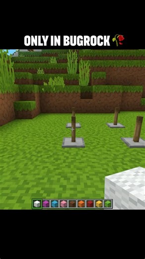 Endless Gamer on Instagram: "#minecraft Bedrock Nametag Feature"