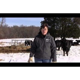 Beef Cow-calf Operation