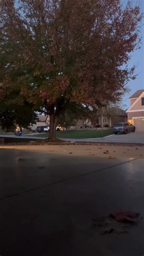 Fall tap! #tap #tapdancer #tapdance #merrell #clogs #shoes #winter #leaves #autumn #dance #dancer #dancers #dancersofinstagram #timestep #puffjacket #winterclothes #amazing #instagram #instadaily #trending #viral #viralreels #love #happy #followme #art #instadaily #repost #fun #smile #instalike