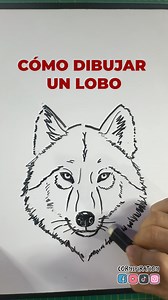 Cómo dibujar un Lobo | Cornspiration