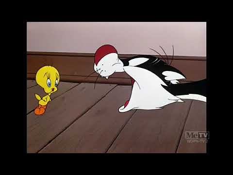 Classic Cartoon Sylvester and Tweety in Catty Cornered