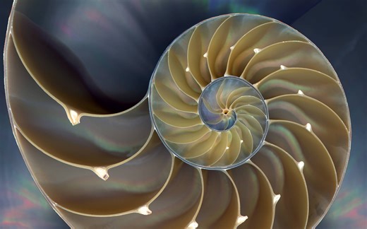 纪录片.PBS.神秘的数学.2015[高清][英字]