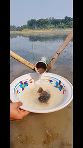 Native koi fishing methods #amazing #fish #nature #fishinglife | Pipe Fishing