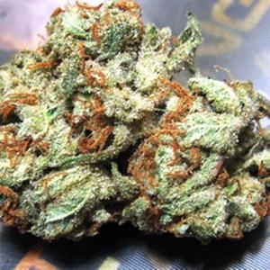 Critical Widow | Marijuana Strain Reviews