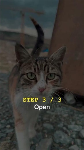 How To Get Your Cat Out of Hiding After Guests Leave