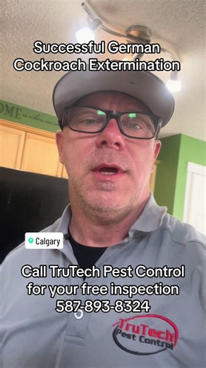 For a successful bug treatment, call us at TruTech Pest Control. 587-893-8324#pestcontrol #yyc #pestservices #trutechpestcontrolabinc #calgary #cockroaches #pestcontrolservice #chemical #cockroach #yyccalgary #diseases