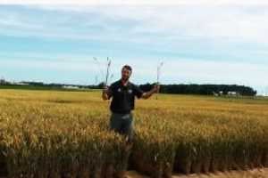 MSU Soil Fertility Extension YouTube Videos Now Available