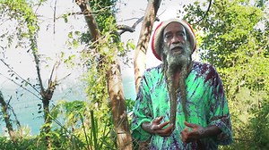 6.7K views · 87 reactions | #TURPENTINETREE #CleansSores #Antiseptic #GoodForWounds #GoodForUlcers #GreatForWounds #GreatForColds #GreatForCoughs #GreatForCirculation #ExcellentForFevers #GoodRubForStrokeVictims #ExtractPropertiesWithSageOil #ExtractPropertiesWithCoconutOil #ExtractPropertiesWithSnakeOil #EncouragesBloodCirculation #HelpsIncreaseFlowOfBloodToTheBrain #UseInBushBaths #RemovesNegativeEnergy #HelpsWithFocus #UseLeavesAndBark #UseForMassaging | Ras Bobby Herbal Products | Facebook