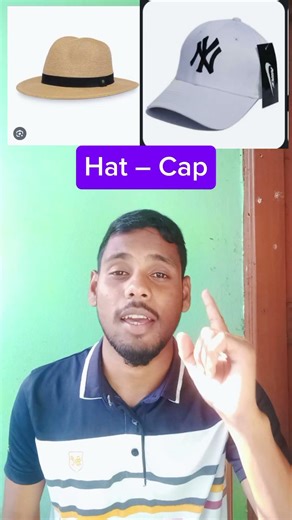 Similar Words in English | Chair–Armchair, Tree–Sapling