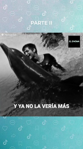 Experimento Mujer y Delfín 1960: Margaret y el Increíble Vínculo