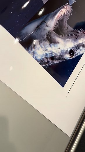 Live look into the making 🎥✨—our vinyl decals are crafted fresh and customized just for you. Customization is our specialty, so if you’ve got a design you want on any of our products, we’ll make it happen. Reach out today: info@underthesuninserts.com 🌞 #UnderTheSunInserts #VinylDecals #CustomMade #SmallBusiness #MadeToOrder #DecalLove | Under The Sun Inserts