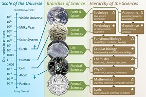 Scientific disciplines and classification - MultiMedia