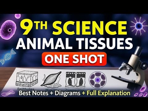 9th Science - Animal Tissues in ONE SHOT ( Best Notes) 🗡️