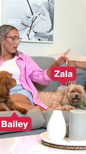 Crew's all here 🙌 New #GoggleboxAU 8.30 tonight on 10 🐶👧🐶👧🐶👧🐶 | Gogglebox Australia