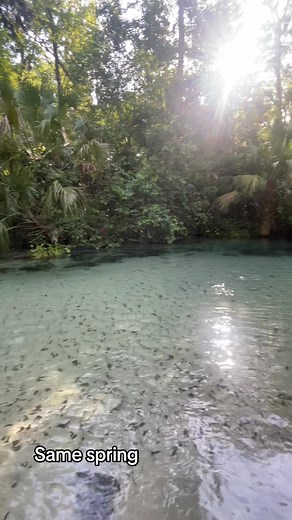 Paddle boarding to the rhythm of nature😍🌿 👇Save this Post 👇 SUP season is almost here, you will definitely be looking this up again👀 👉Follow Funwater for inspiring SUP Content and ideas to your next outdoor adventure and visit our website for the latest updates on offers!👇👇 🔗 https://www.funwaterboard.com/ . . #funwater #funwatersup #funwaterboard #paddle #paddlelife #paddleboard #surf #outdoorlife #suplife #SpringBreak2025 #adventuretime #naturelovers #holiday #fun #photography #funact