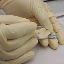 Video: Quantitative and Qualitative Examination of Particle-particle Interactions Using Colloidal Probe Nanoscopy