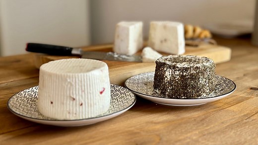 Cheese Making Mistakes? How to Fix Curd?