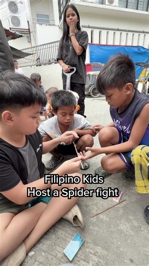 Filipino Spider Fight: Watch the Full Video Now!