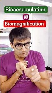 Bioaccumulation vs Biomagnification