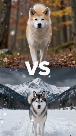 “Ultimate Dog Battle! 🐕 Doberman vs German Shepherd + 8 Epic Fights”