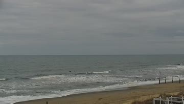 Croatan to Pendleton Surf Report, Surf Forecast and Surf Cam - Surfline