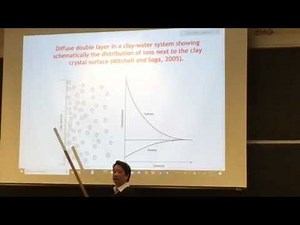 Diffuse double layer theory of Clay
