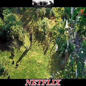 TOP MOVIE NETFLIX 2025 | Type One Dance Company