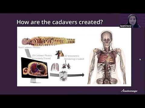 Learn the Basics of the Anatomage Table