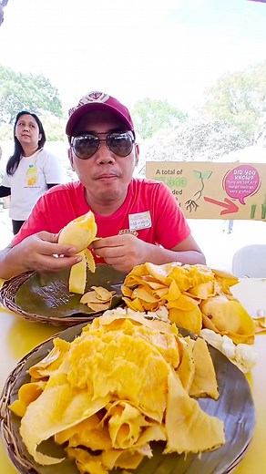 The Manggahan Festival 2024: Guimaras🇵🇭 Philippines Journey join the People of Guimaras as they celebrate the Manggahan Festival , this is a yearly cultural, agricultural, and food festival held in the province of Guimaras, Philippines every May. Also called Guimaras Mango Festival, it is a celebration of the mango fruit and agriculture that are the key drivers of its local economy aside from tourism. Highlights of events will be on May 22. The opening, or the “Imbukada” of the celebration sta