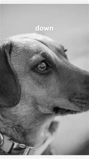ISO and Exposure limitations of Leica M246 #review #leica #monochrome #exposure #camera #review