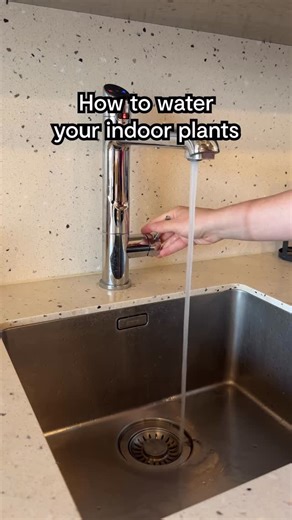 11K views · 11 comments | Ever wondered whether you’re watering your...