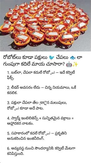 "పక్షులు 🐦 చేపలు 🐟 లా కదిలే రోబోట్ స్వార్మ్స్ 🤖 | కర్విటీ మ్యాజిక్ ✨"