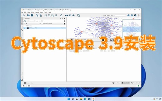 操作简单，一学就会Cytoscape安装,安装Cytoscape的步骤(亲测有效)