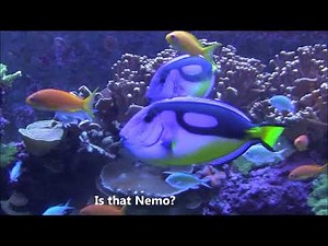 Florida Aquarium Tampa