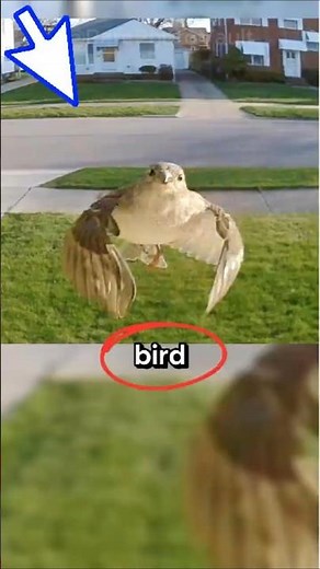 Incredible Rare Photos That Will Leave You Speechless With Their Perfectly Timed Shock | 514