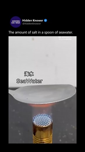 Follow @hiddenknower for more. Video by respective owner (DM for credit/removal). No copyright infringement intended. Shop our collection at: https://hiddenknower.com/sale | Hidden Knexus