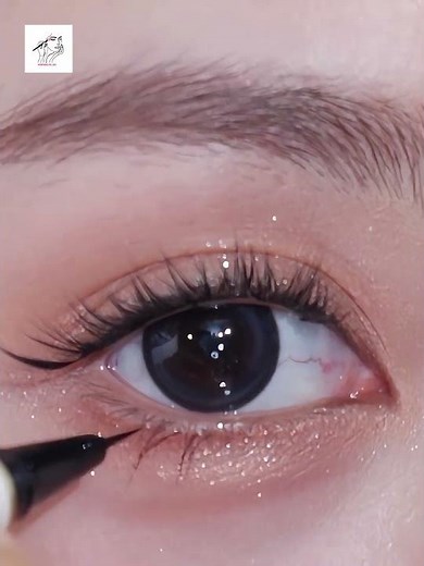 How to Do Eye Makeup Step by Step (Beginner Friendly)