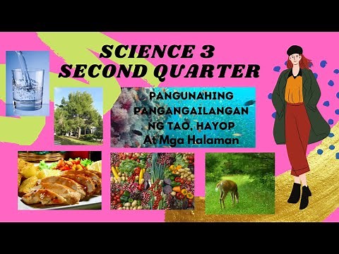 PANGUNAHING PANGANGAILANGAN NG TAO,HAYOP,AT MGA HALAMAN|SCIENCE GRADE 3|SECOND QUARTER WEEK 6