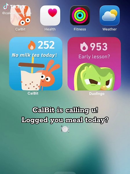 Use CalBit to track your daily meals🫶 #tipsforgirls #fitness #fyp #caloriecounting #gymtok