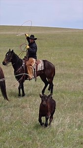 52K views · 5.8K reactions | A few more people who ain’t afraid to make noise. 鸞 #cinchjeans #cowboy #cowboys | CINCH JEANS | Facebook