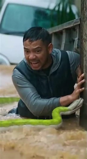 AI Simulation: How Major Floods Affect Wildlife Movement Cities | Education Safe Title Alternatives