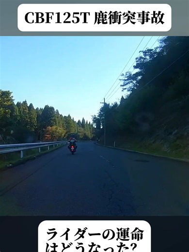 バイク（CBF125T）鹿と衝突事故（ドライブレコーダー動画）#つるつる路面 #バイクトラブル #冬のバイク #バイク #ツーリング #バイク好き #foryoupage❤️❤️ #trendingvideos #viral
