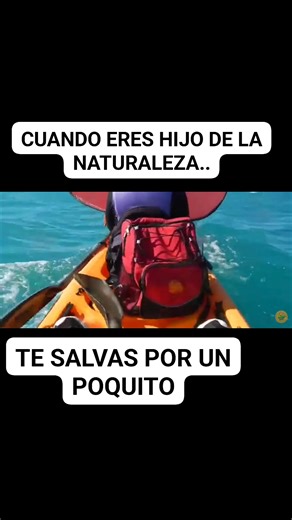 🚨🚣‍♂️ ¡LLEGÓ EL OCEAN KAYAK ZEST TWO EXP RED ELITE LIMITED! 🚣‍♀️🔥 ¡La leyenda de aventura para parejas, familias y pescadores que quieren PODER, VELOCIDAD y ESTABILIDAD en el Mae Abierto 🌊🏆 ✅ ZEST TWO EXP SIN TIMÓN PRECIO REG: $2,400 🔥 PRECIO ESPECIAL: $2,099 ✅ ZEST TWO EXP CON TIMÓN ORIGINAL Y HATCH 6" PRECIO REG: $2,800 🔥 PRECIO ESPECIAL: $2,499 💥 ¡Estas máquinas son PREMIUM y en color RED ELITE LIMITED – edición difícil de conseguir! Perfectos para costa, pesca, ríos, familia, playa,