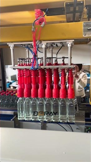 glass bottle automatic case packer,output 10-15 cases per minute #casepacker #packagingmachine